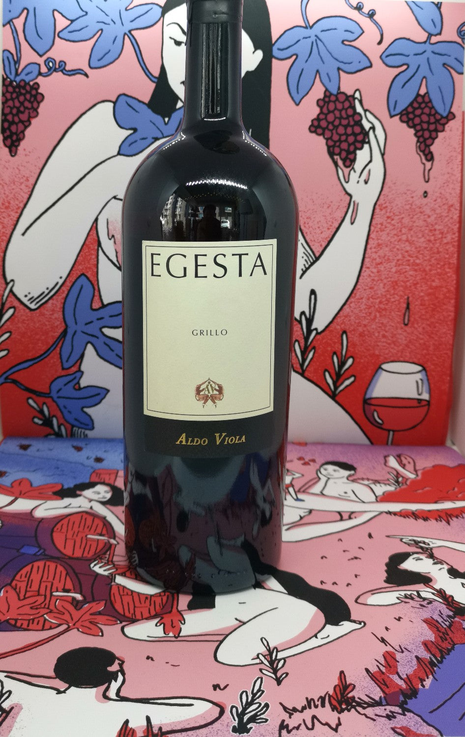 Egesta 2015 MGM, Aldo Viola