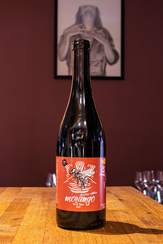 Tutti Frutti Morango 23