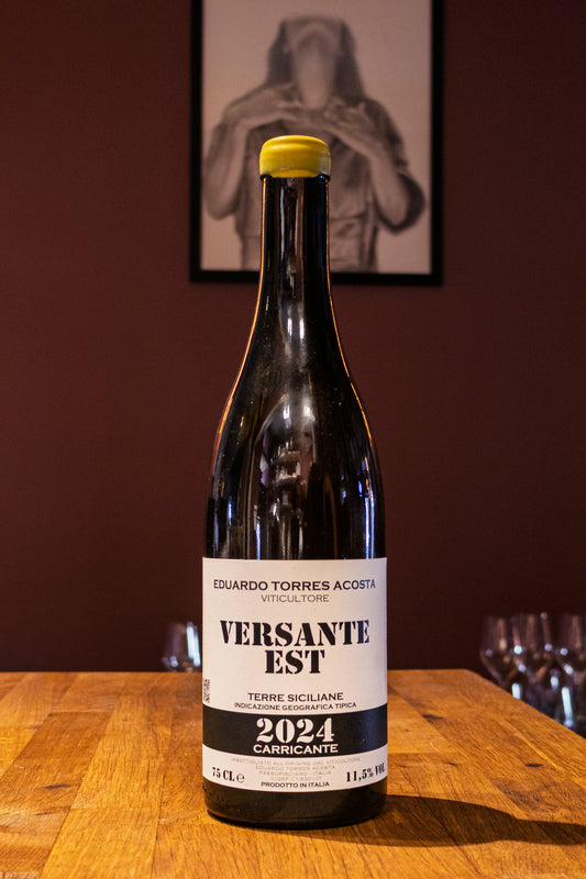 Torres Acosta Versante Est 24